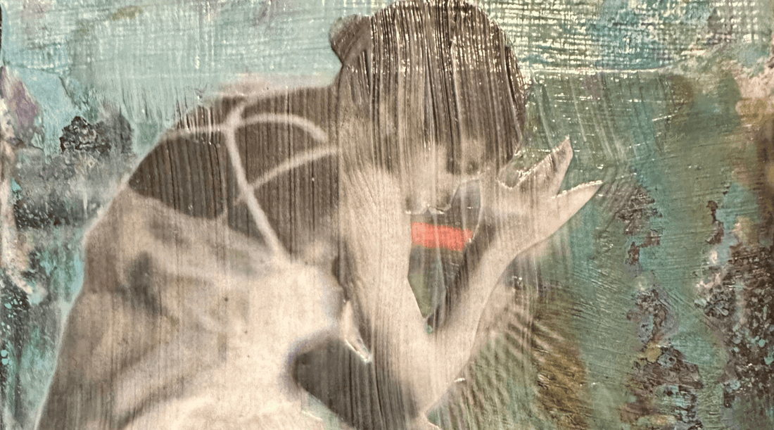 What the stars would say